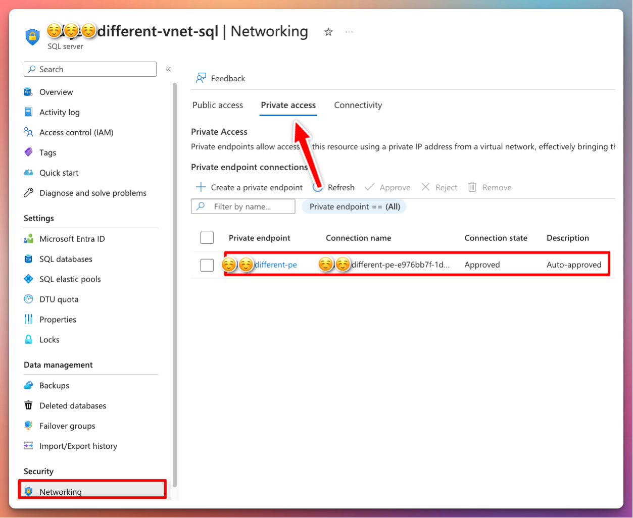 Enabling private access